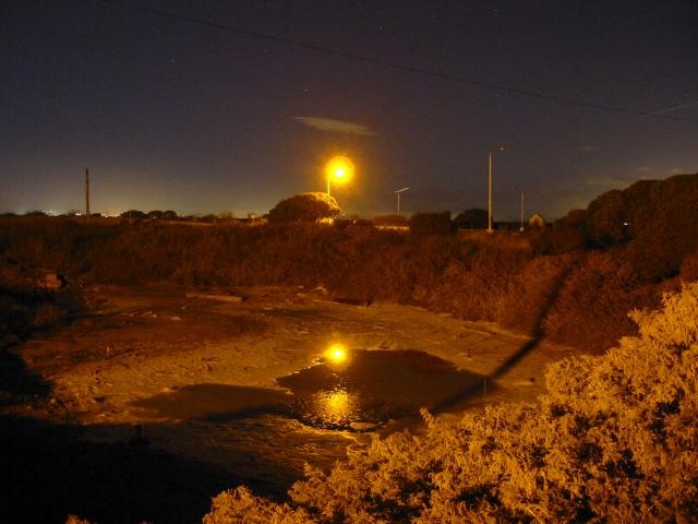 
Alviso Swamp